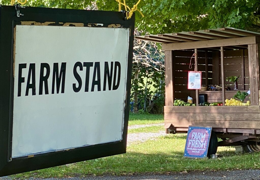 farm stand under a tree